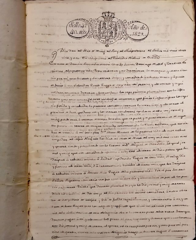 Vilafranca del Penedès 
 rabassa morta
