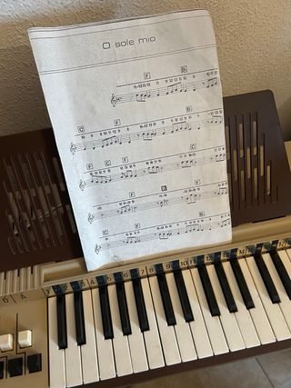 Organo vintage Bontempi