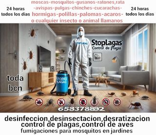 ratas y ratones control total todo tipo de plagas