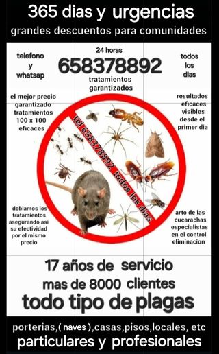 ratas y ratones control total todo tipo de plagas