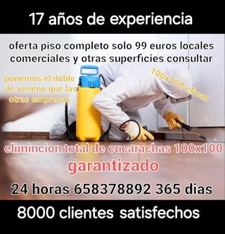 ratas y ratones control total todo tipo de plagas