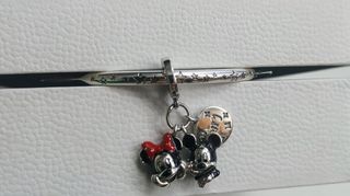 Charm Disney 
