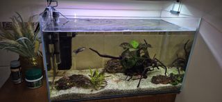 Acuario cristal 60 L Abierto