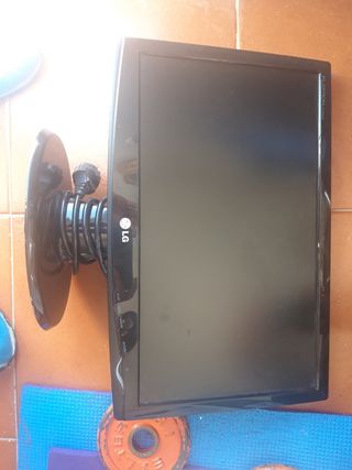 Monitor LG de 19 Pulgadas 