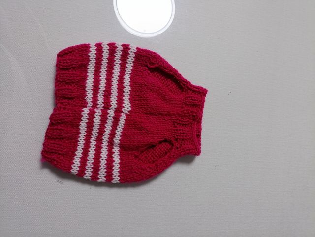 JERSEY DE PERRITA PEQUEÑA