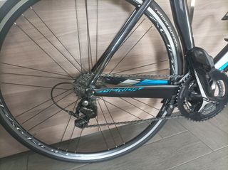 Bici carretera carbono homologada UCI.   