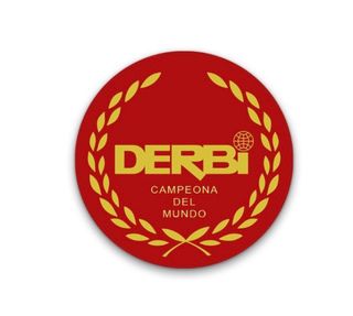 Repuestos Derbi de todo tipo