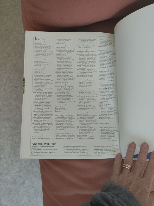 EL INTERIOR DE LA BALLENA Y OTROS AN