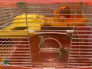 Jaula Hamster