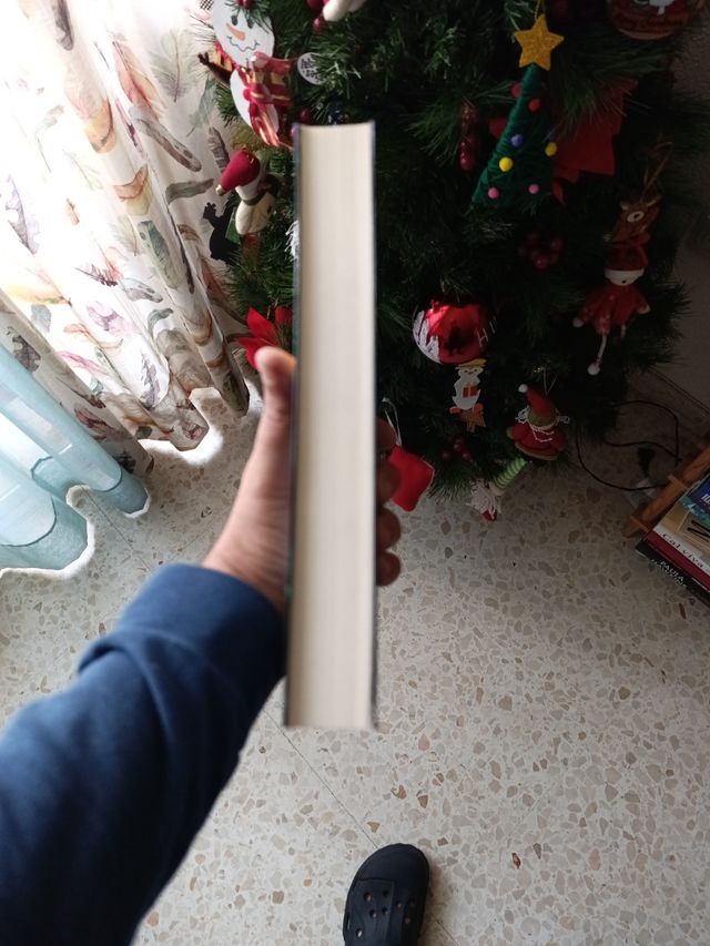 Las chicas ocultas. Rebecca Whitney