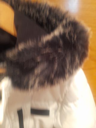 Plumifero Sonneti polar JD