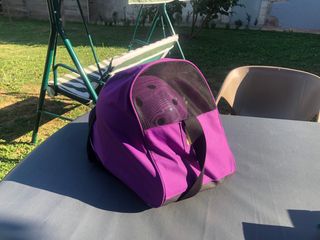 Patines de línea con casco y protectores