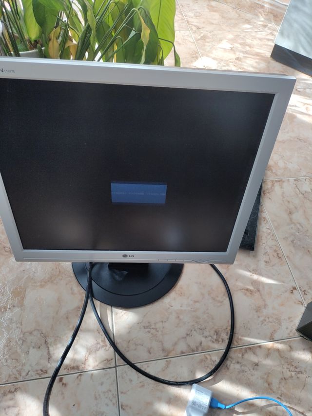 Monitor 19'ordenador LG