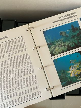 Colección WWF: sellos y sobres 1961 2001