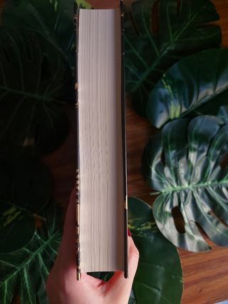 El bestiario de Axlin