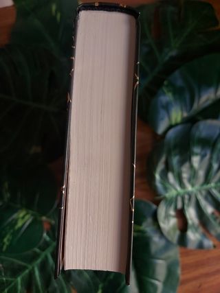 El bestiario de Axlin