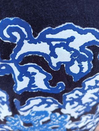 Camiseta Desigual manga japonesa. Rebajada