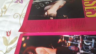 Póster Guns N' Roses Axl Rose