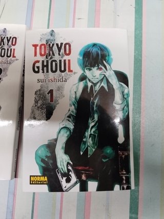 Tokyo Ghoul 1 (Spanish Edition)