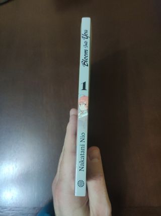 MM Dragon Ball nº 01 1,95