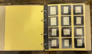 228 SELLOS DE PLATA