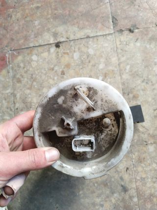 Aforador BMW E46 320i