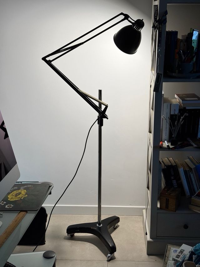 Naska Loris per Luxo,