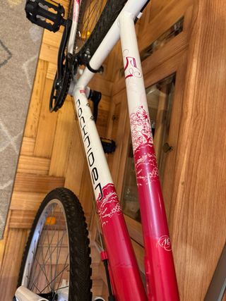 Bicicleta mujer Shimano Revoshift de 24 pulgadas.
