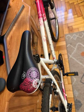 Bicicleta mujer Shimano Revoshift de 24 pulgadas.