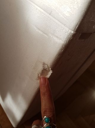 Nevera portátil de polietireno