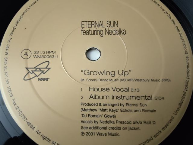 Vinilo Eternal Sun featuring Nedelka