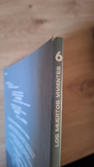 Los Muertos Vivientes 1 a 15 y portadas