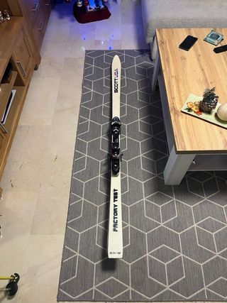Salomon Skis 