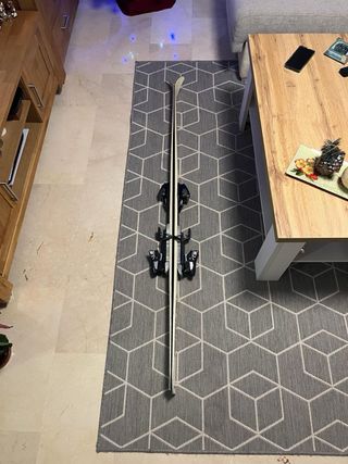 Salomon Skis 