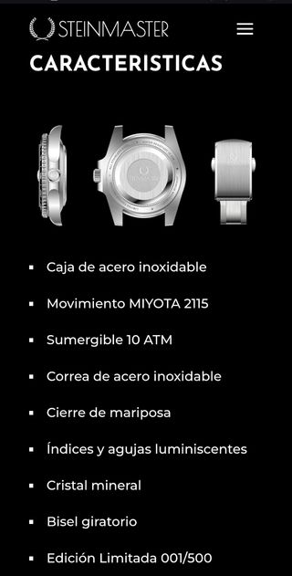 Reloj Señora STEINMASTER
