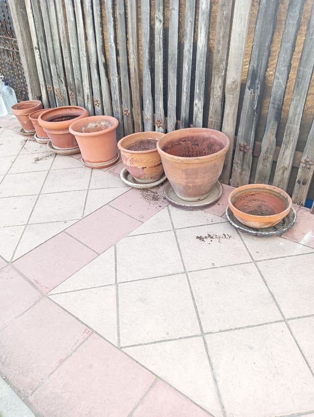 Maceteros y platos TERRACOTA