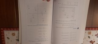 MATHS practice book Y9