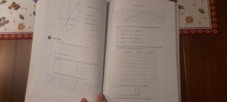 MATHS practice book Y9