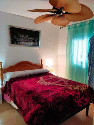 pedrocolchero62@gmail.com