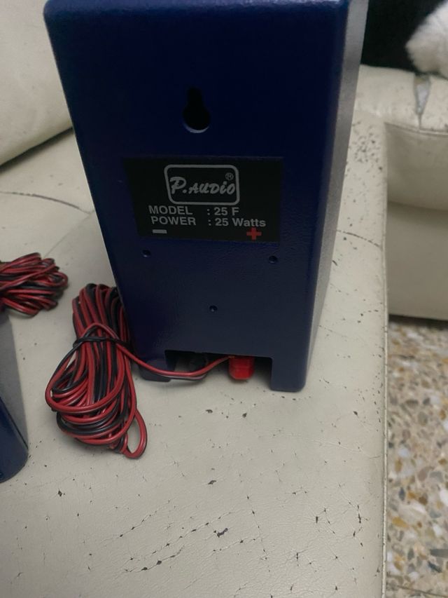 Altavoz marca P audio