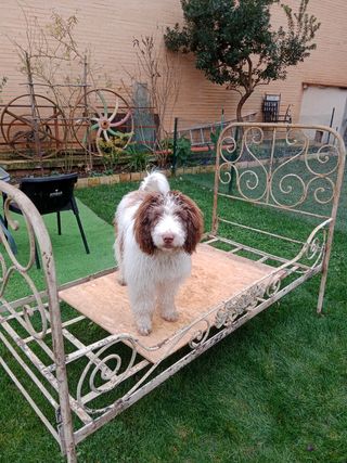 Letti antichi in ferro