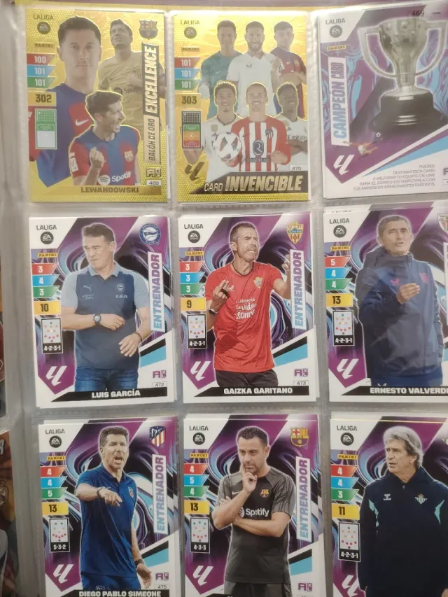 Adrenalyn XL 2023 2024