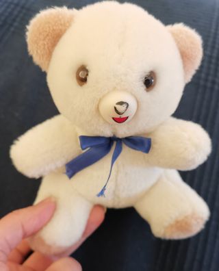 Orso Peluche Piccolo
