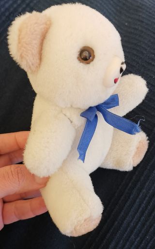 Orso Peluche Piccolo