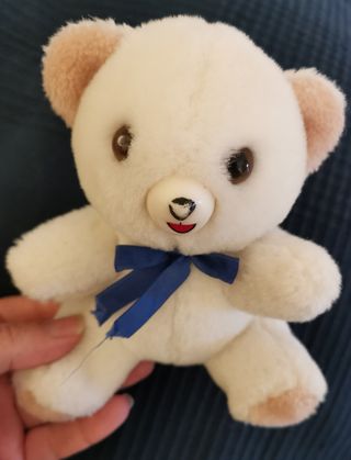 Orso Peluche Piccolo