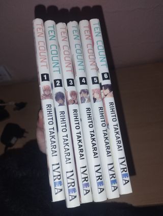 Colección completa manga "Ten Count"