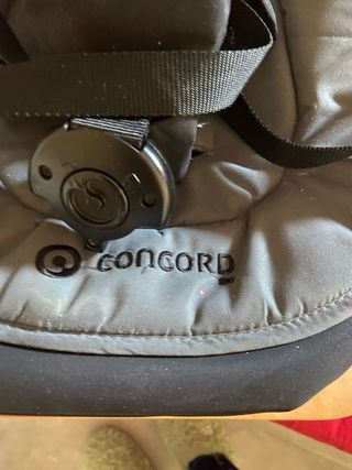 Hamaca concord