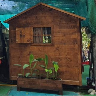Casita de madera