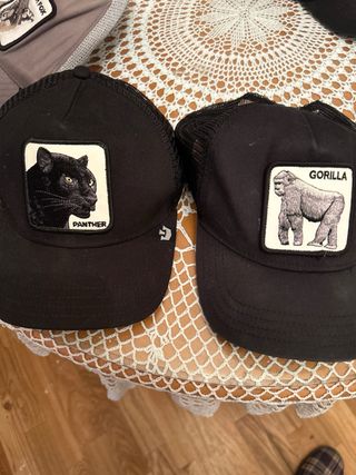 Gorras goorin bros varios colores