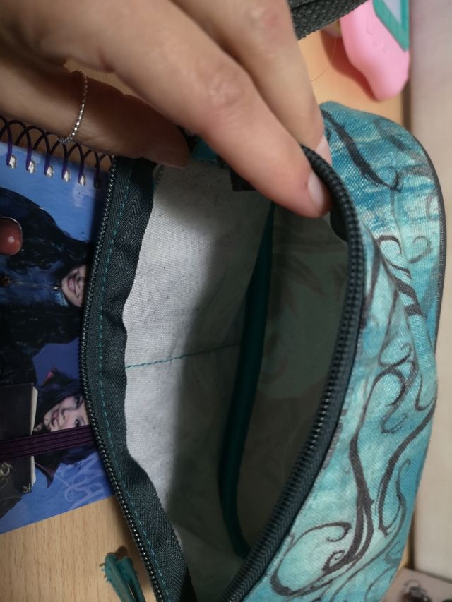 Lote estuche y libreta los dscendientes 